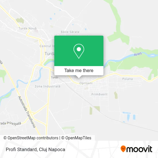 Profi Standard map