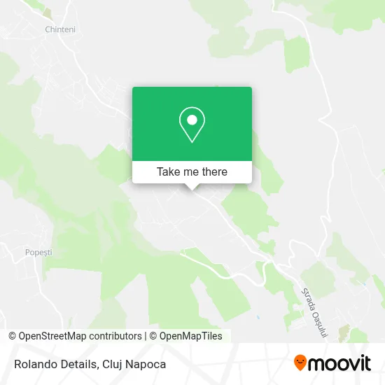 Rolando Details map