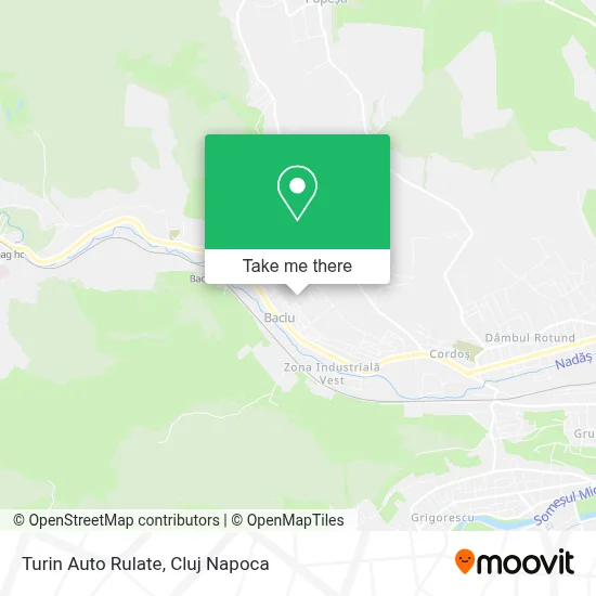 Turin Auto Rulate map