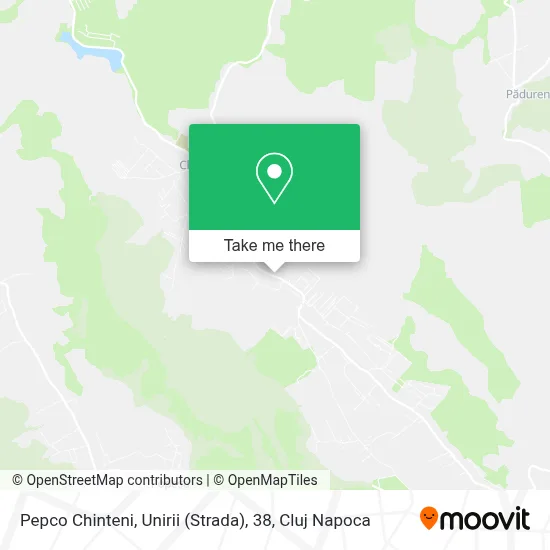 Pepco Chinteni, Unirii (Strada), 38 map