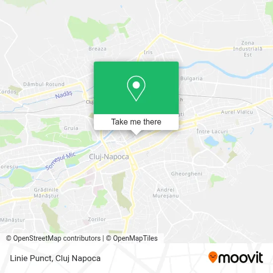 Linie Punct map