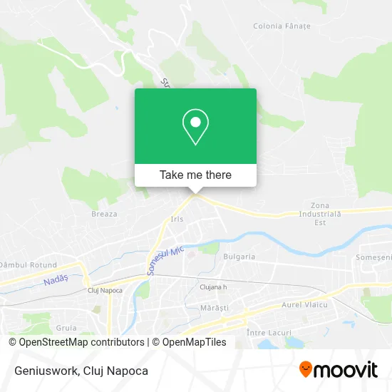 Geniuswork map