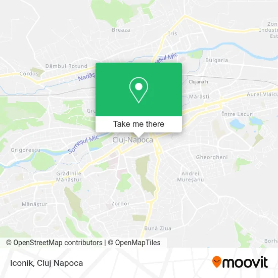 Iconik map