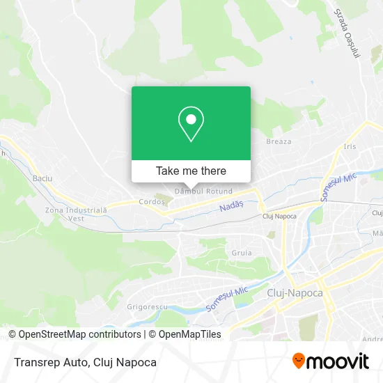Transrep Auto map