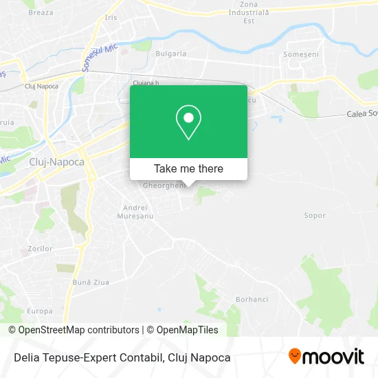 Delia Tepuse-Expert Contabil map