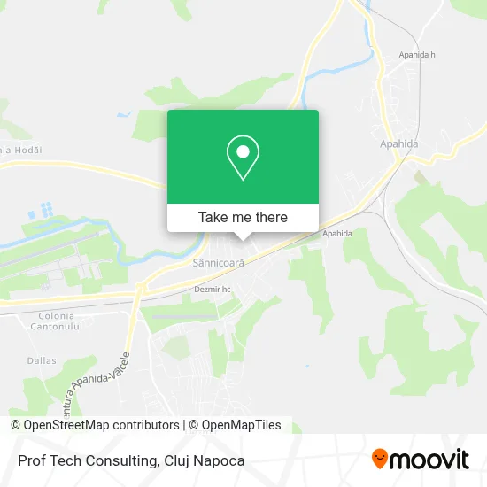 Prof Tech Consulting map