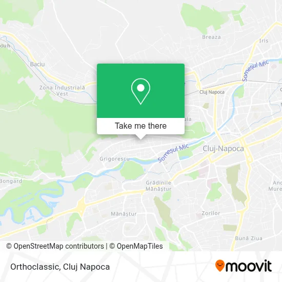 Orthoclassic map