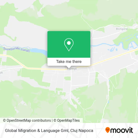Global Migration & Language Gml map