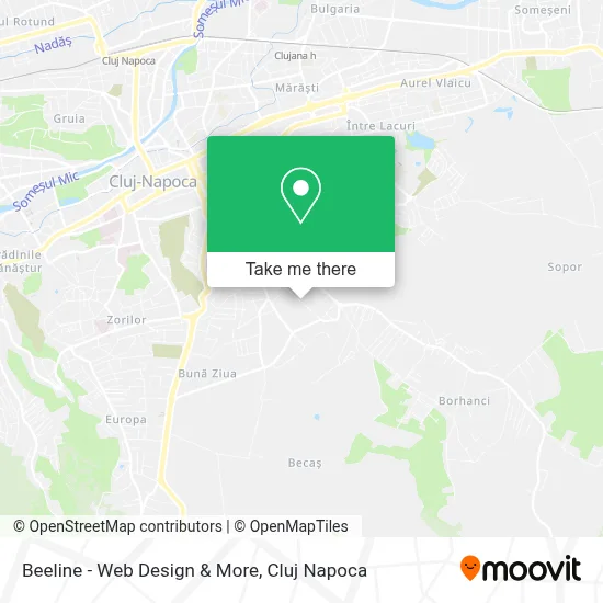 Beeline - Web Design & More map
