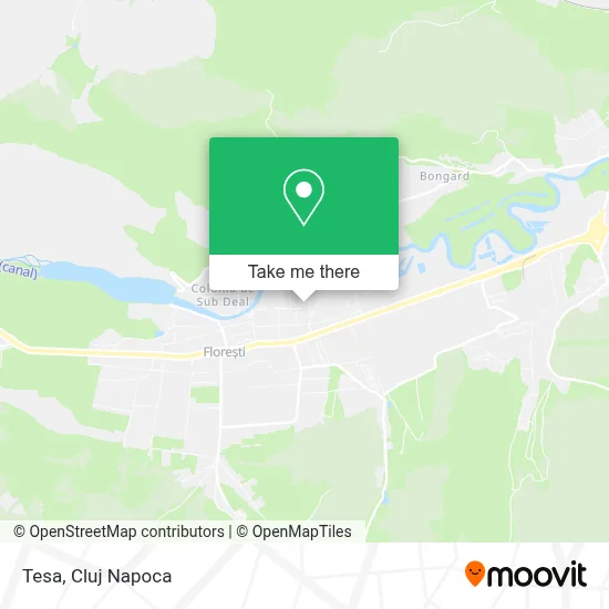 Tesa map