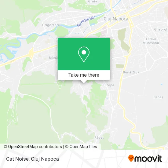 Cat Noise map