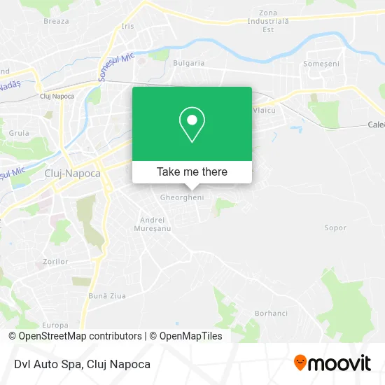 Dvl Auto Spa map