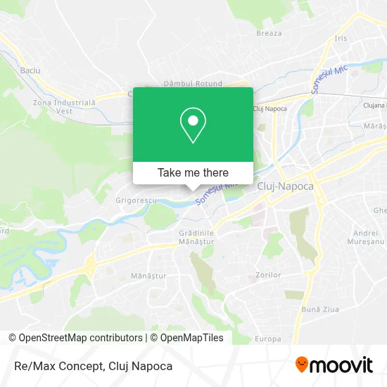 Re/Max Concept map