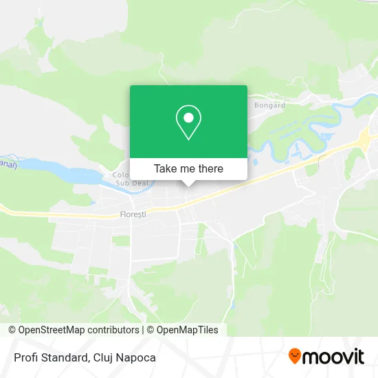 Profi Standard map