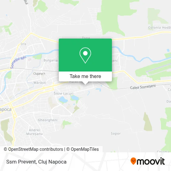 Ssm Prevent map