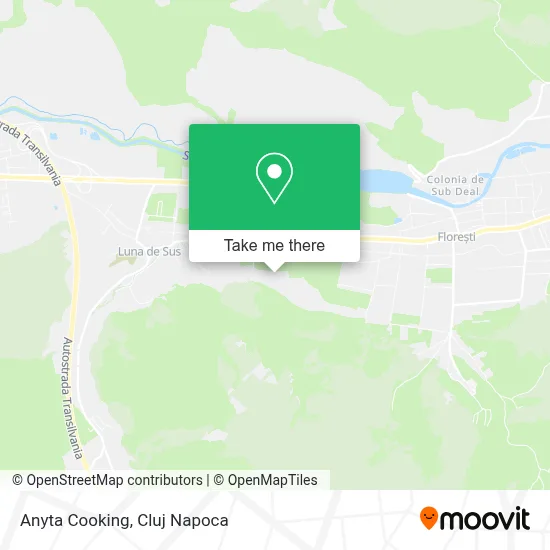 Anyta Cooking map