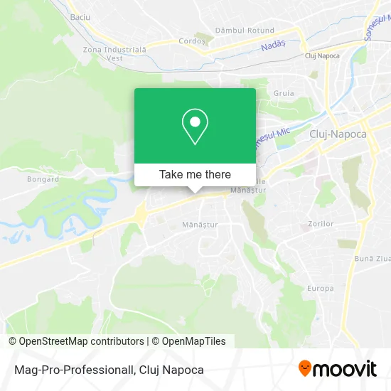 Mag-Pro-Professionall map