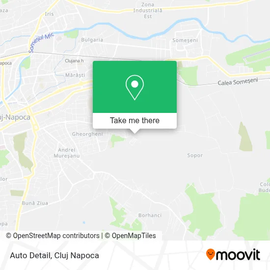 Auto Detail map