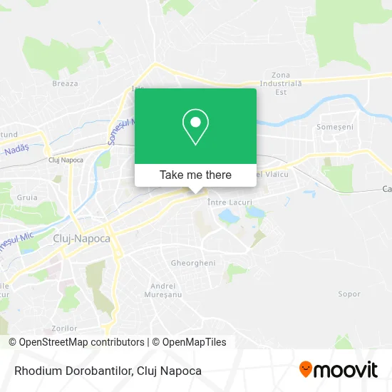 Rhodium Dorobantilor map