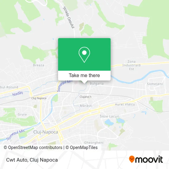 Cwt Auto map