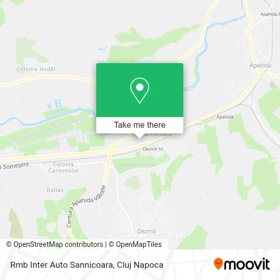 Rmb Inter Auto Sannicoara map