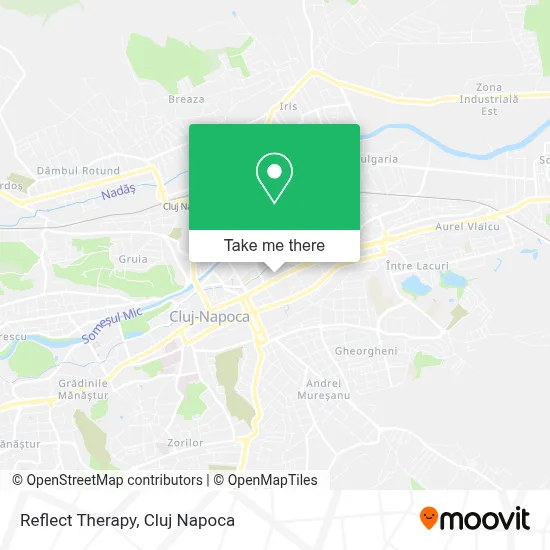 Reflect Therapy map