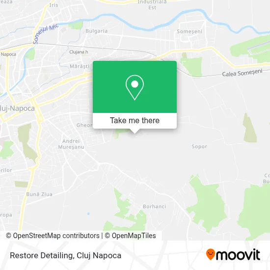 Restore Detailing map