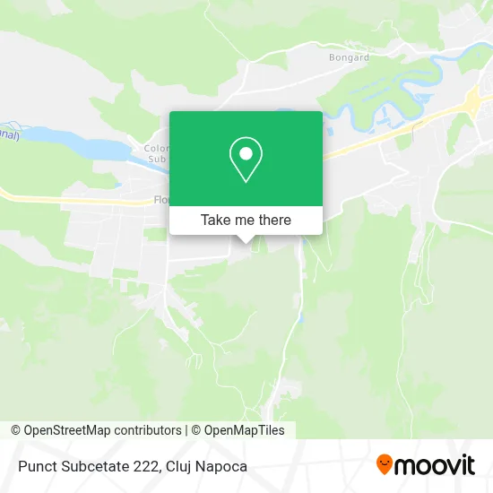 Punct Subcetate 222 map