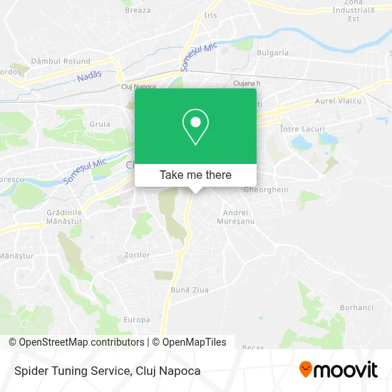 Spider Tuning Service map