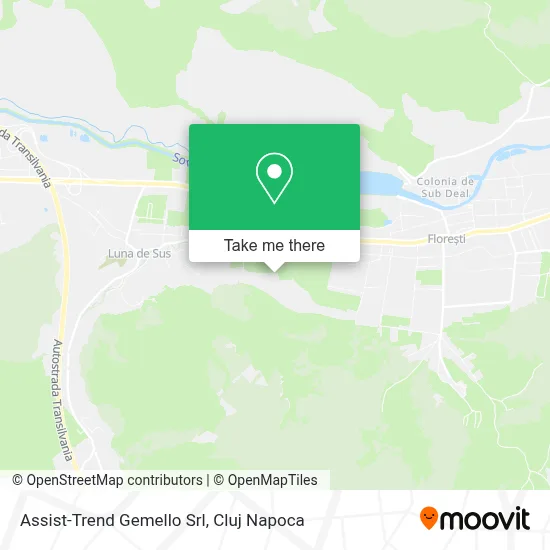Assist-Trend Gemello Srl map