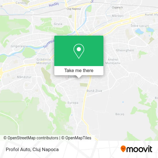 Profol Auto map