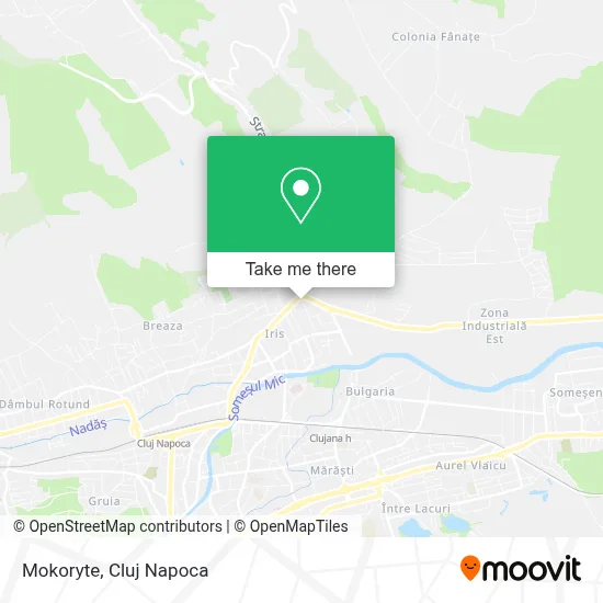 Mokoryte map