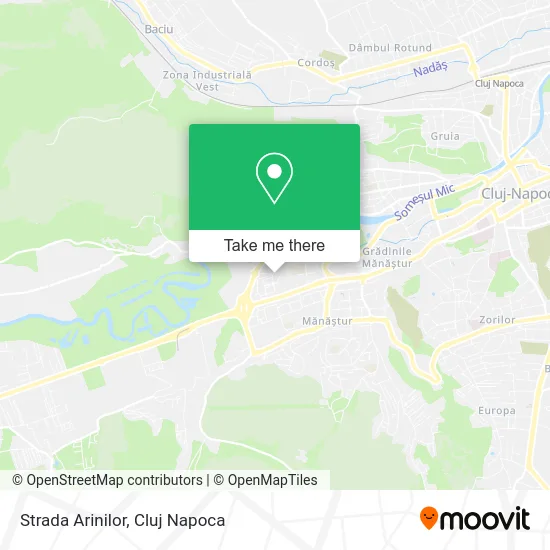 Strada Arinilor map