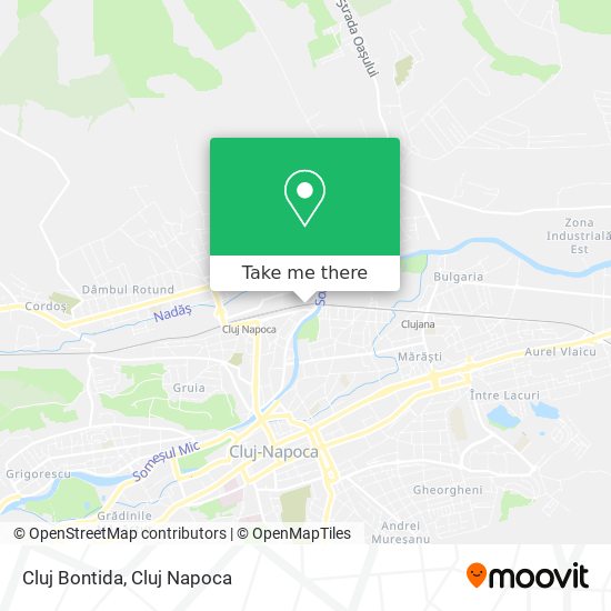 Cluj Bontida map