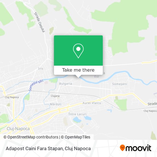 Adapost Caini Fara Stapan map