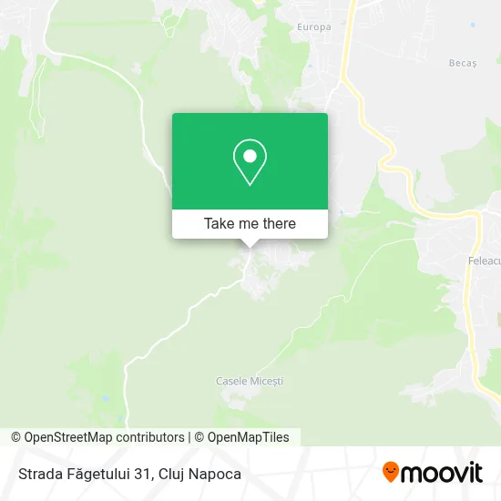 Strada Făgetului 31 map