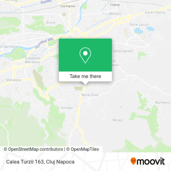 Calea Turzii 163 map