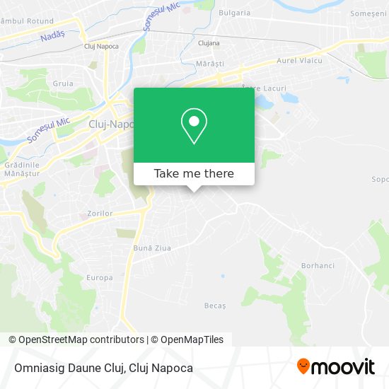 Omniasig Daune Cluj map