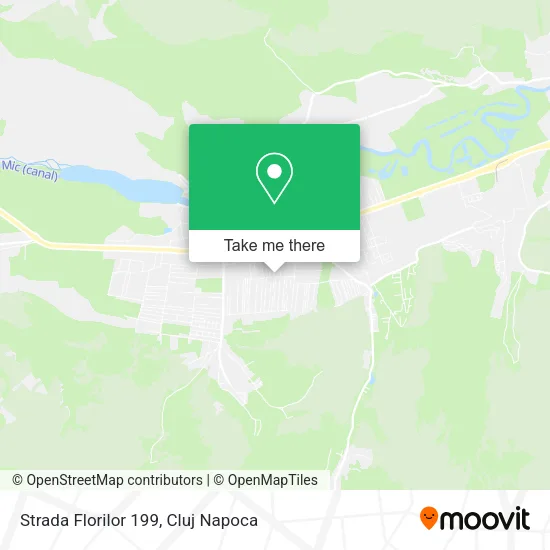 Strada Florilor 199 map