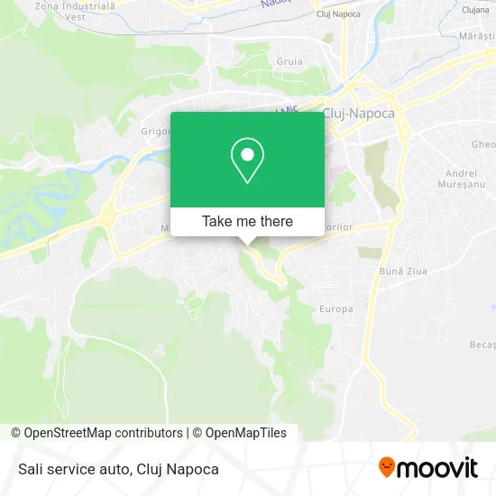 Sali service auto map