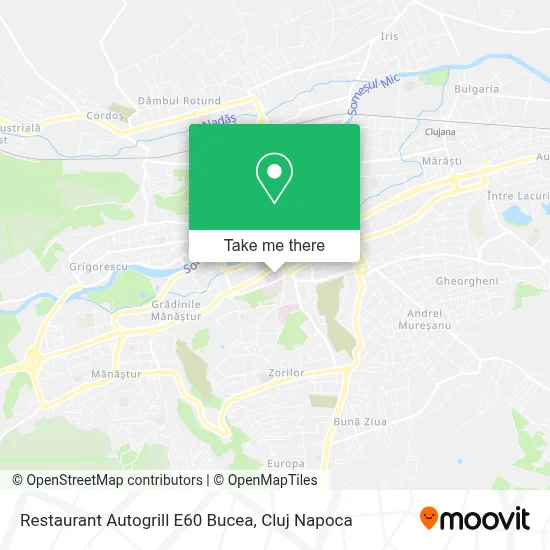 Restaurant Autogrill E60 Bucea map