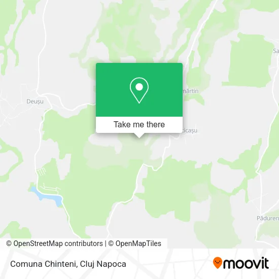 Comuna Chinteni map