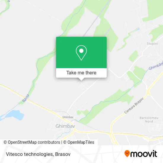 Vitesco technologies map