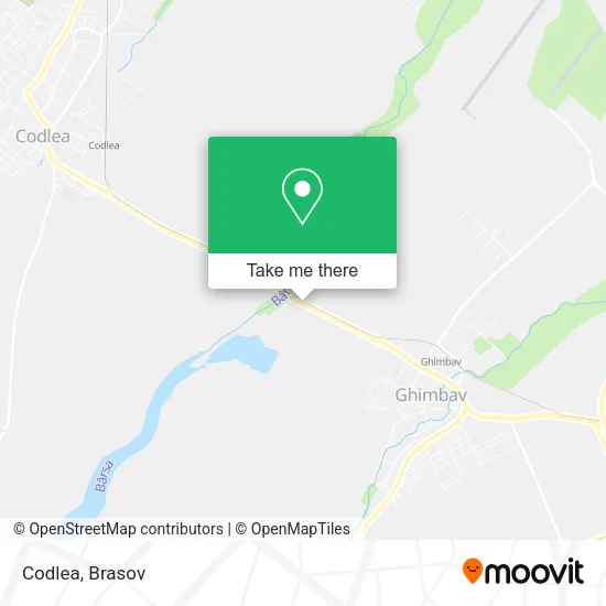 Codlea map