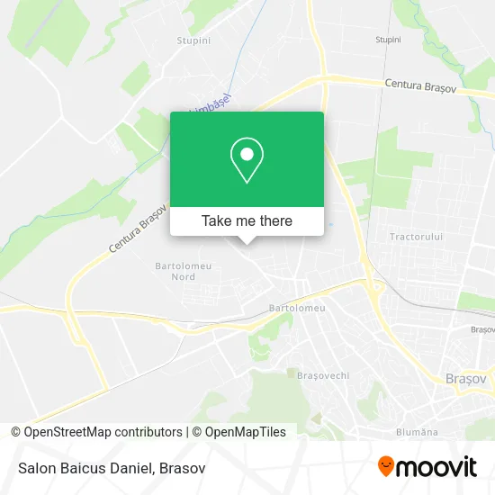 Salon Baicus Daniel map
