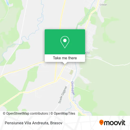 Pensiunea Vila Andreuta map