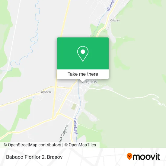 Babaco Florilor 2 map