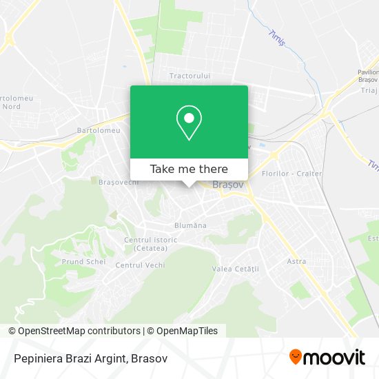 Pepiniera Brazi Argint map