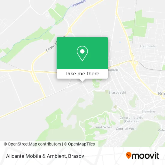 Alicante Mobila & Ambient map