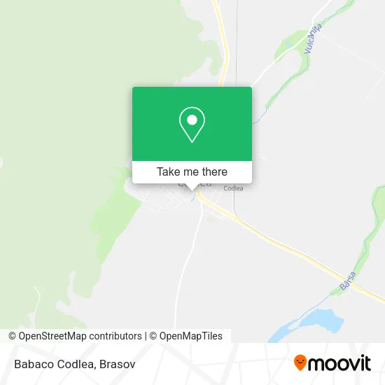Babaco Codlea map